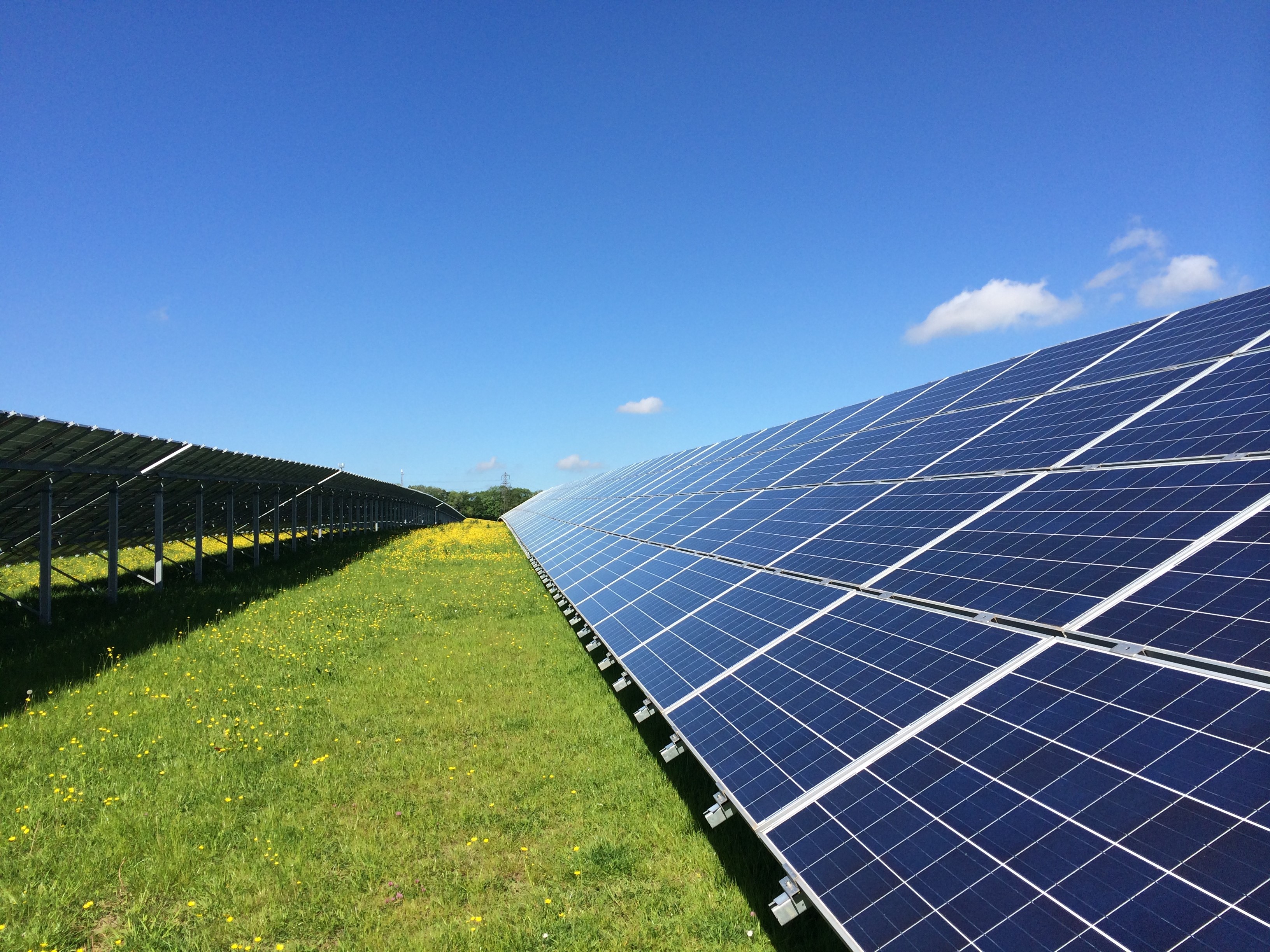 A row of solar panels in a green field, with blue sky above
